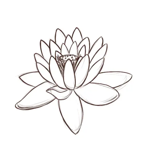 flor de loto para pintar
