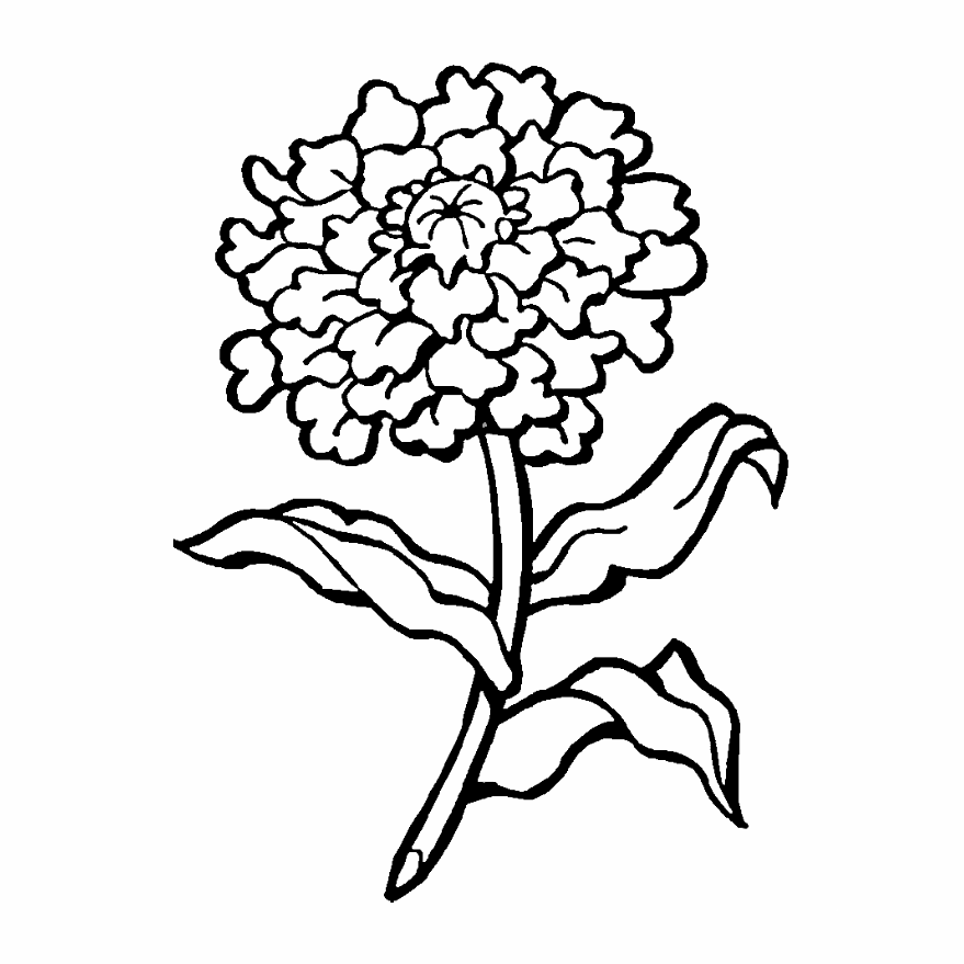 flores de difuntos para colorear