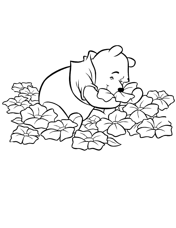 pooh con una flor para colorear