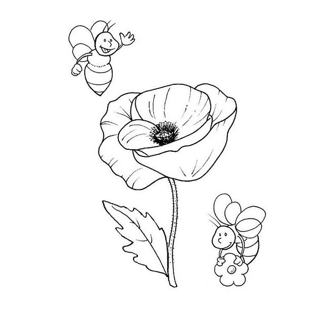 amapola para colorear