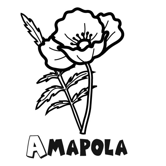 amapola para pintar e imprimir