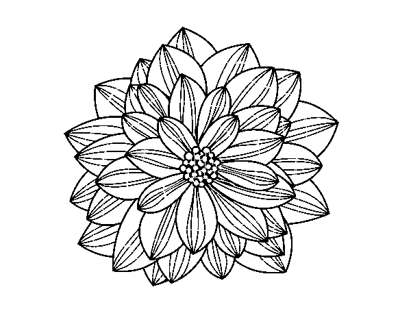 dalia para colorear