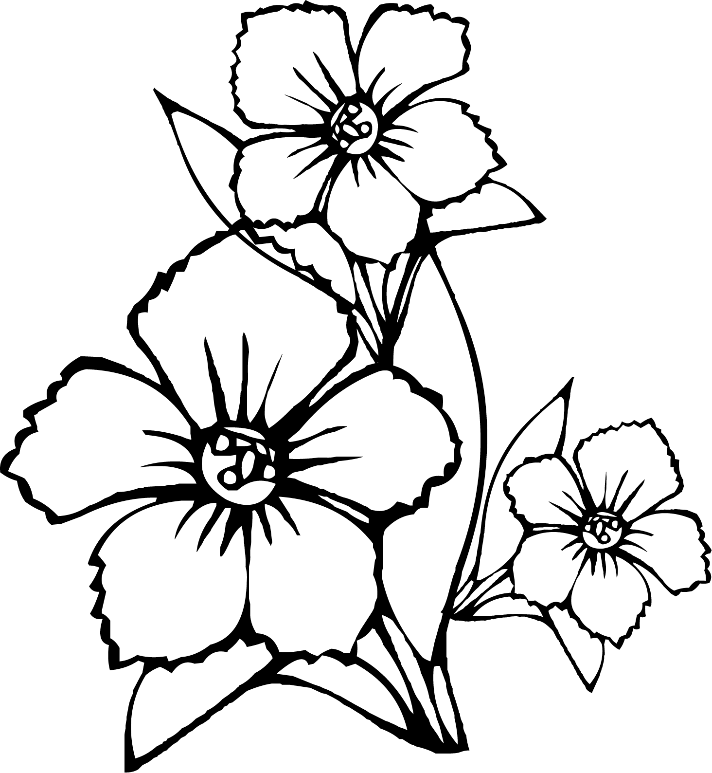 Dibujos de flores grandes para colorear