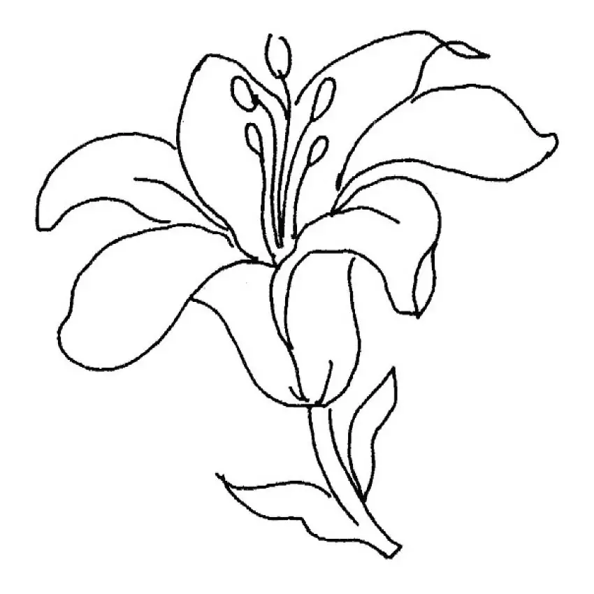 dibujos de cuadro de flores para pintar