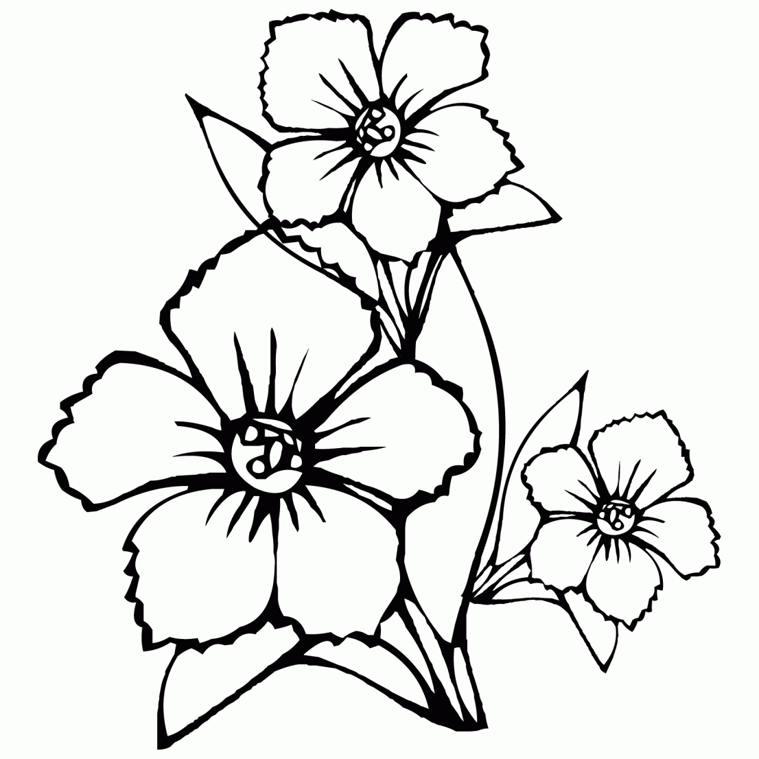 Dibujos de flores de 5 petalos para colorear