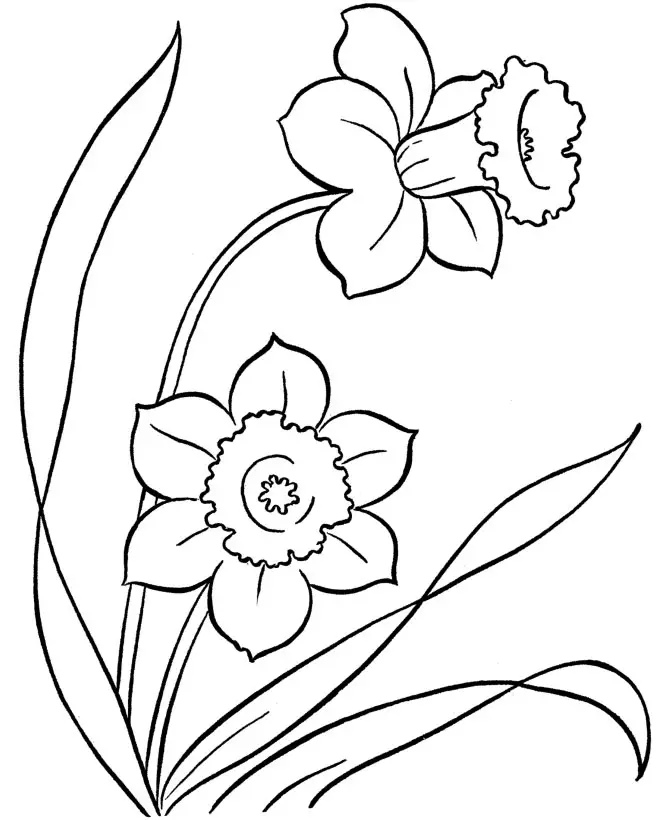 dibujos de flores para colorear para los mas pequenos
