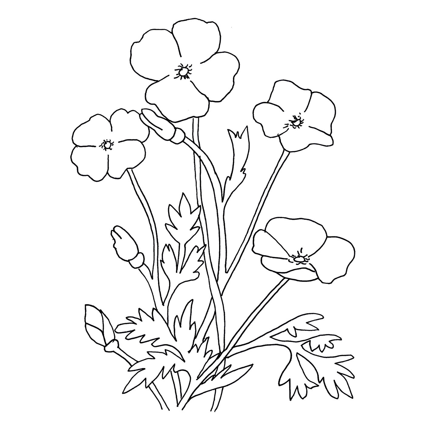 dibujos para colorear de flores grandes