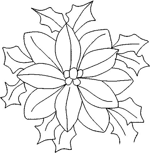 flor de nochebuena para colorear