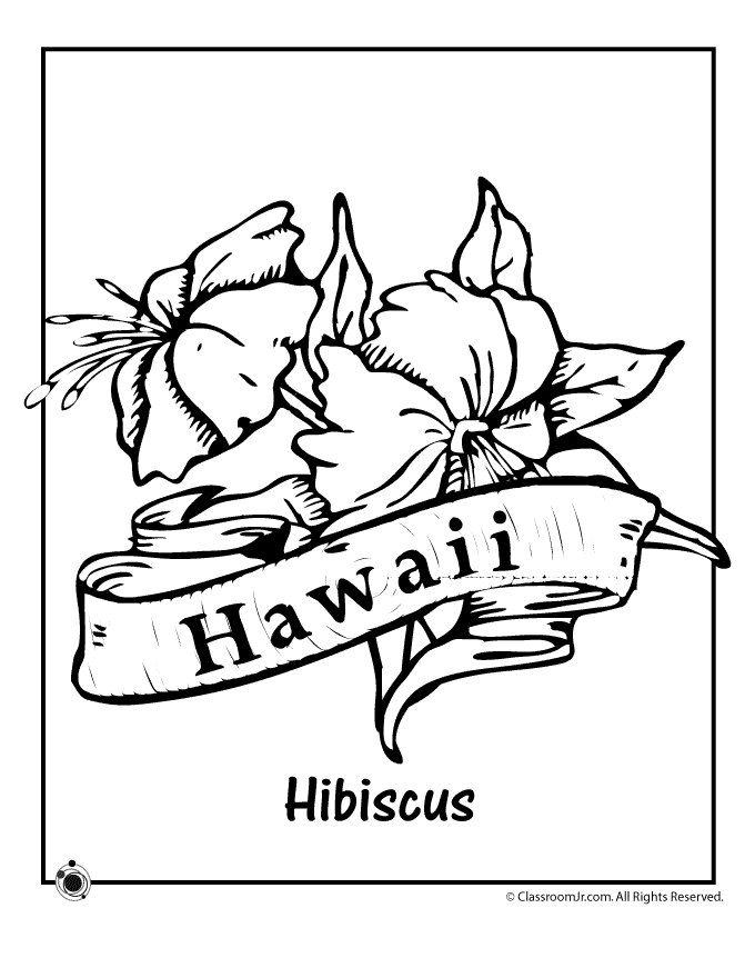 flores de hawaii para colorear