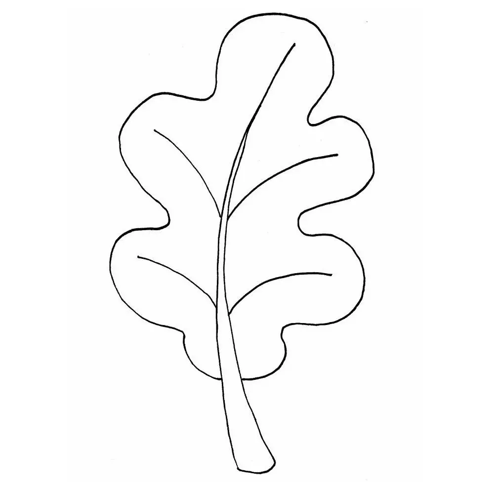 Dibujos de hojas de flores para colorear
