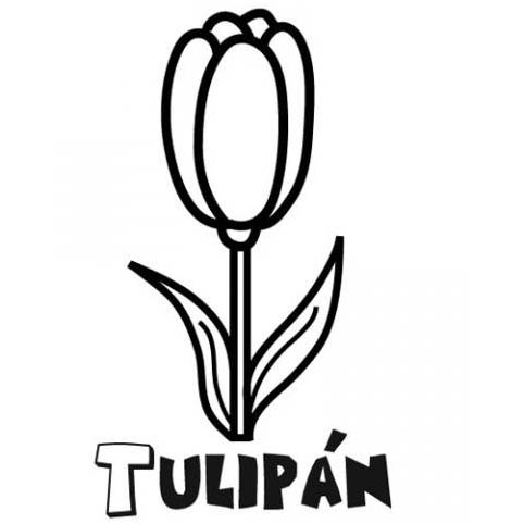 tulipan para colorear