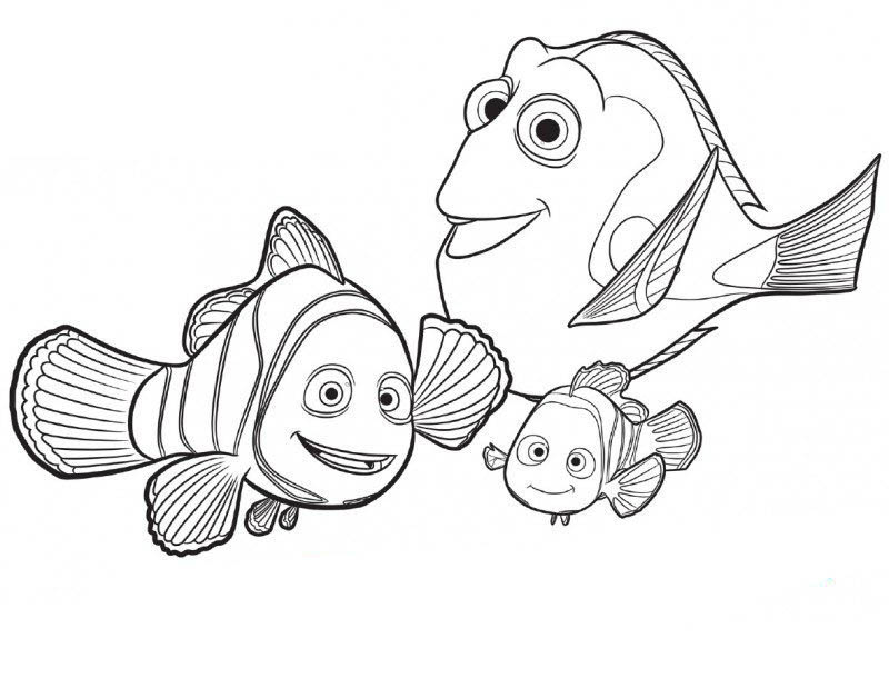 buscando a dory para colorear