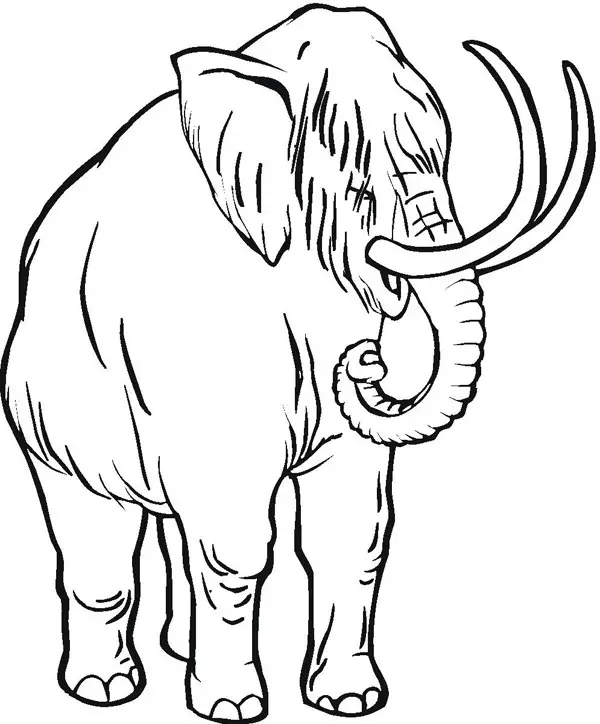 dibujo de un mamut para colorear