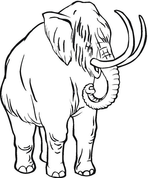 Mamut para colorear, pintar e imprimir