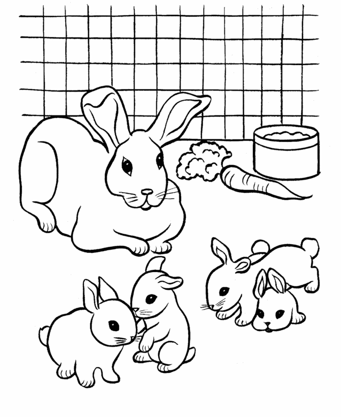 dibujos de conejos con zanahoria para pintar