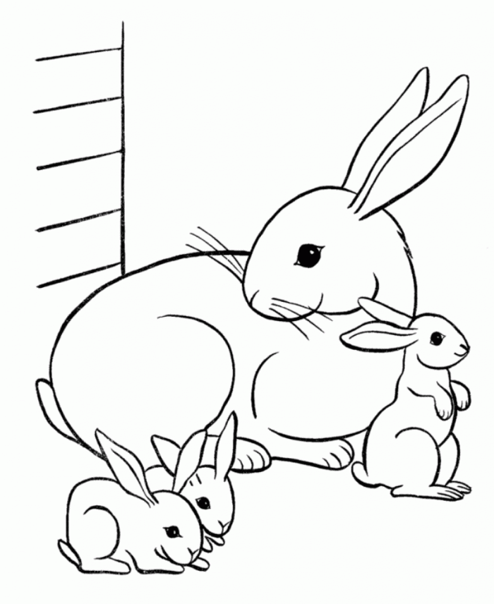 familia de conejos para colorear