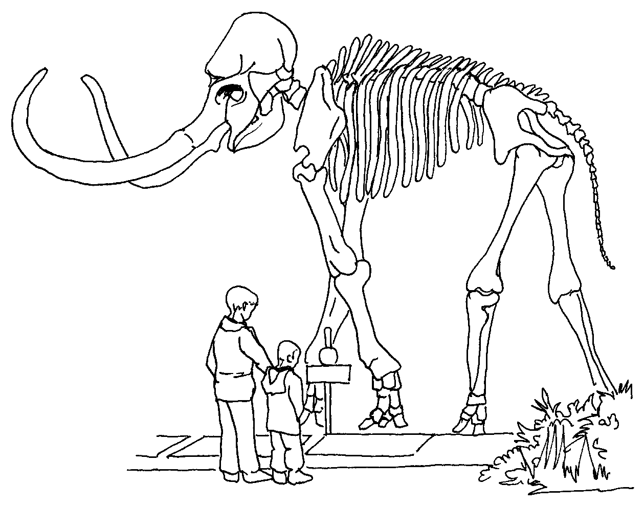 esqueleto de mamut para colorear