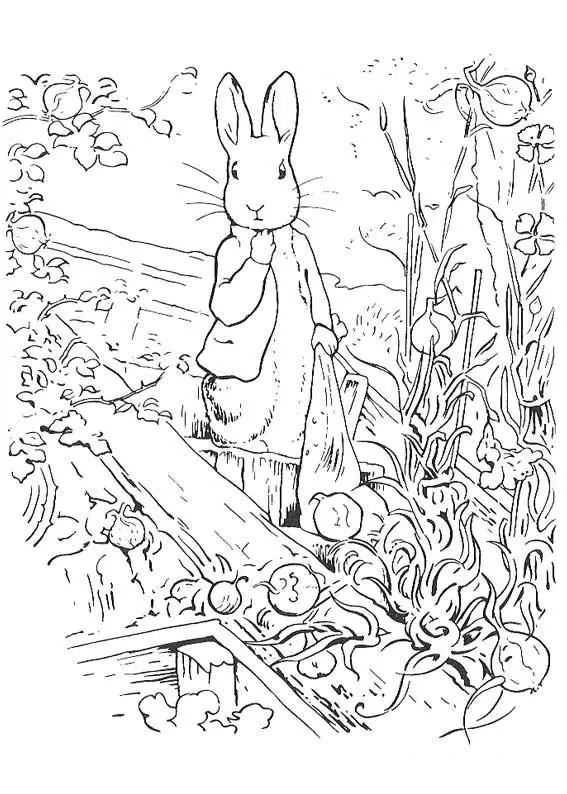 figuras de peter rabbit para pintar