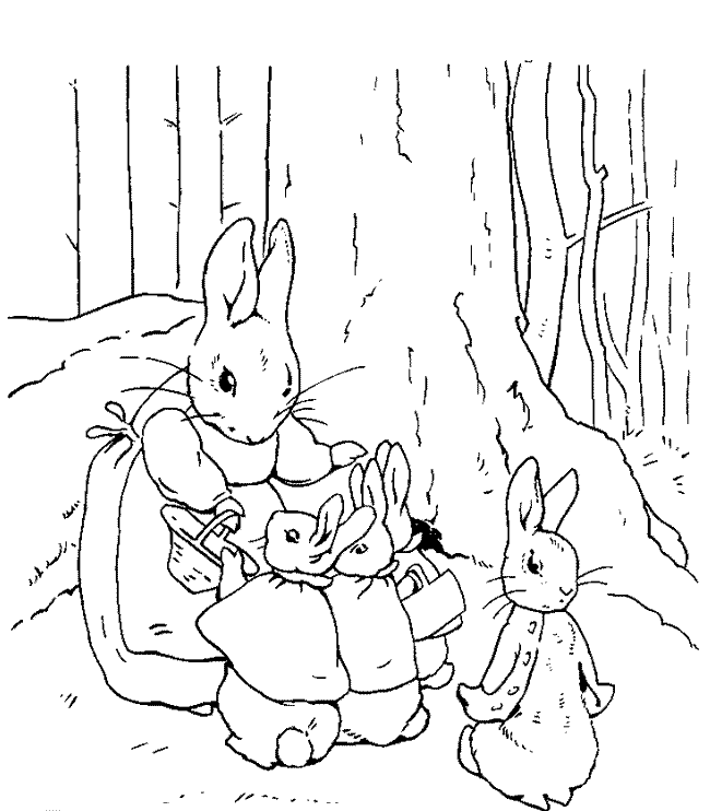 fotos de peter rabbit para colorear