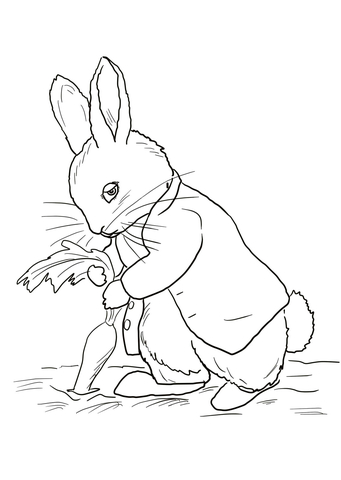 fotos de peter rabbit para colorear