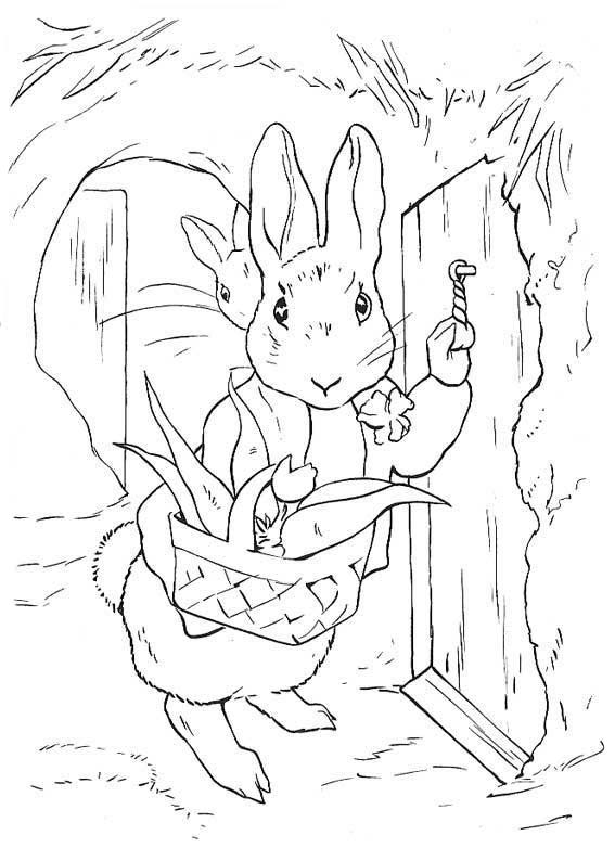 peter rabbit colorear