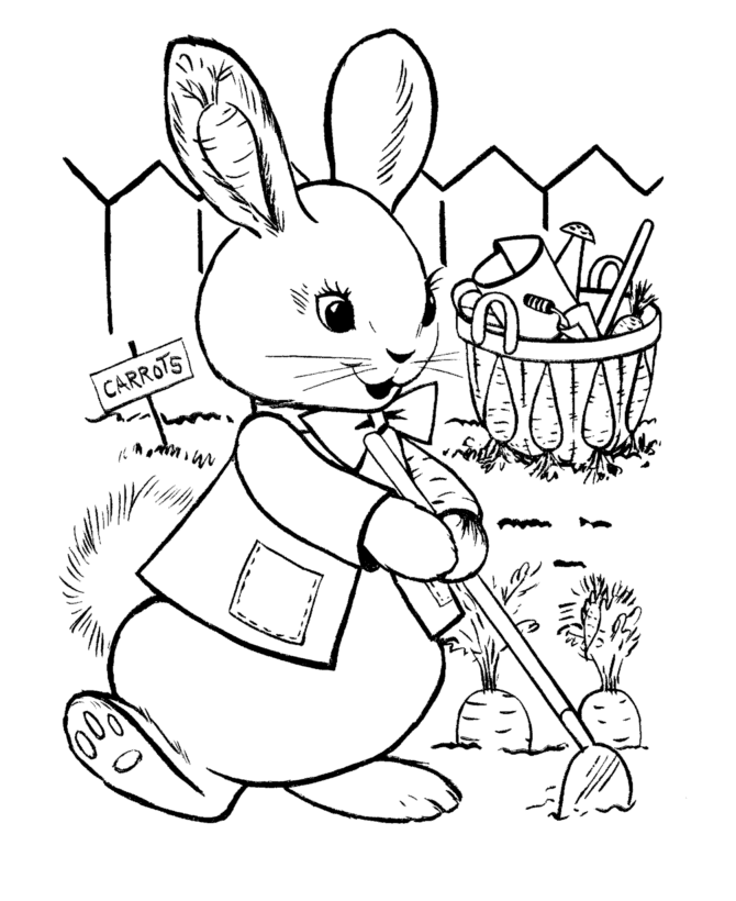 peter rabbit para imprimir