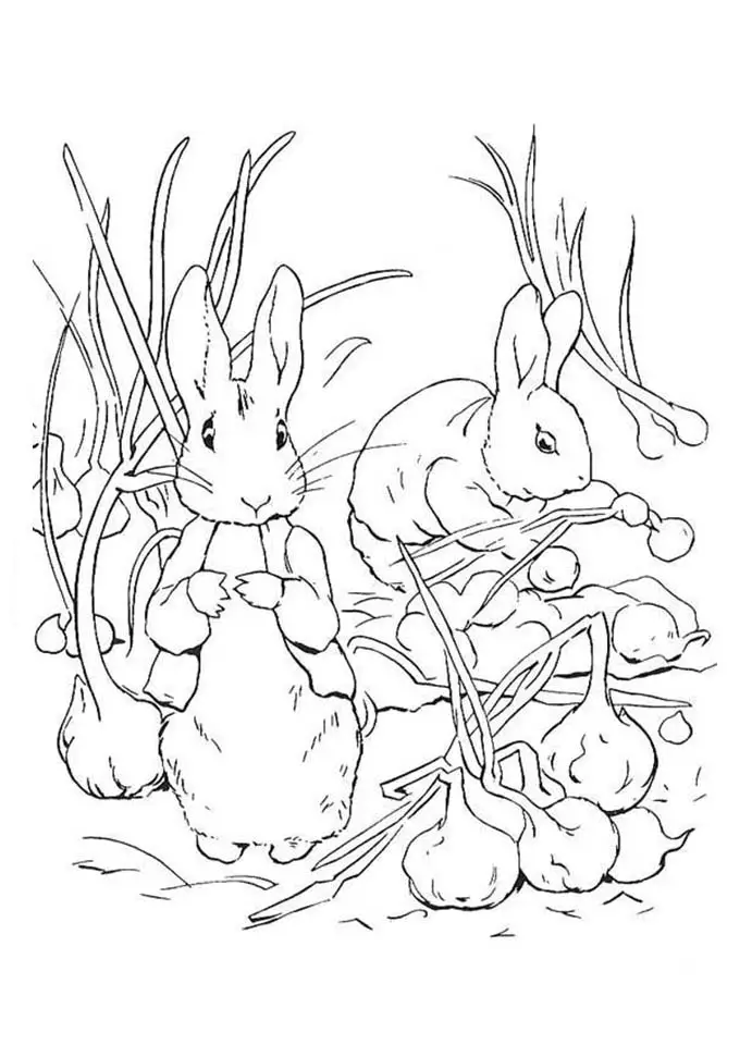 peter rabbit para pintar e imprimir