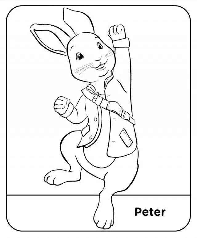 peter rabbit para pintar
